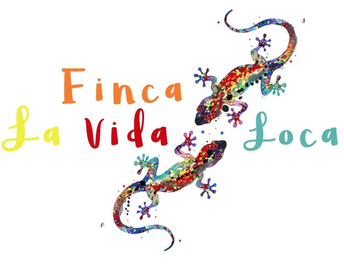 La Vida Loca - Adults Only Apartment *